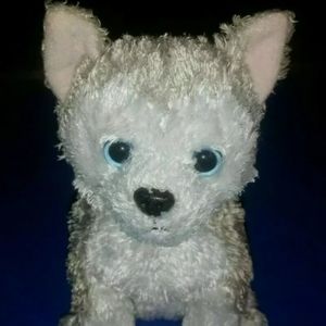 Ty Juneau The Siberian Husky Dog Beanie Babies Beanbag Plush 2004 / 6" Sitting